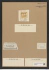 Hemiaulus rossicus Pant. (de-Toni-Nr.: Genus 117, Species 3386) Zeichnungen Sammlung Grunow Nr. 6804 (NHMW-BOT-W0375647)